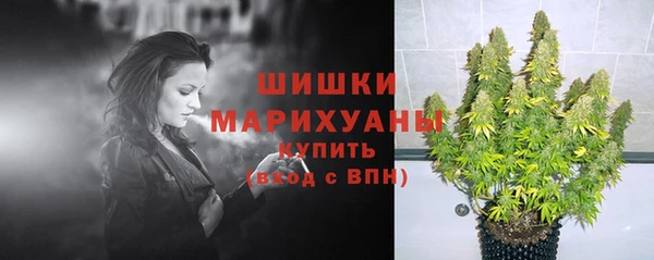 стаф Бугульма