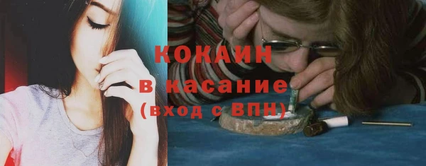 бошки Бородино