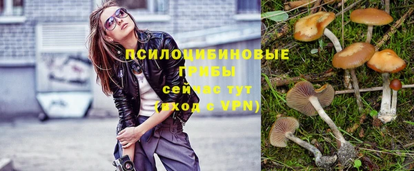 стаф Бугульма