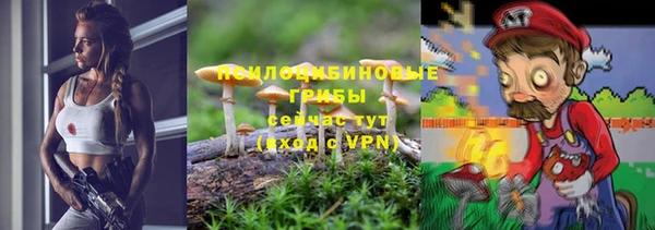 каннабис Верея