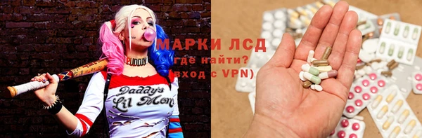 бошки Бородино