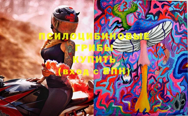 бошки Бородино