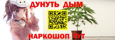 индика Моздок