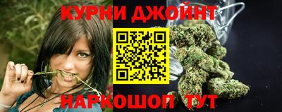 мдпв Можга