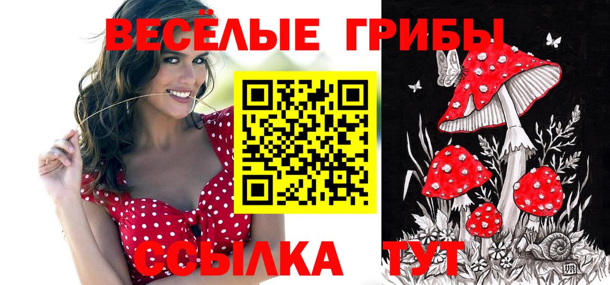 Галлюциногенные грибы мухоморы Выборг