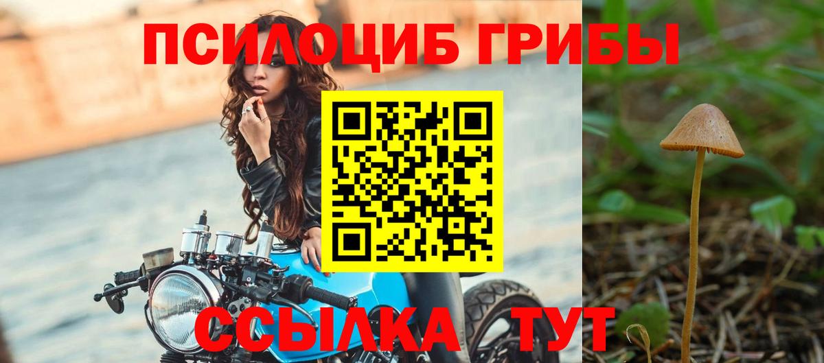 Выборг  Псилоцибиновые грибы ЛСД  Вход с VPN  Галлюциногенные грибы Magic Shrooms 