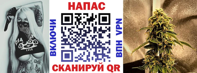 kraken ССЫЛКА  Выборг  Конопля Bruce Banner 