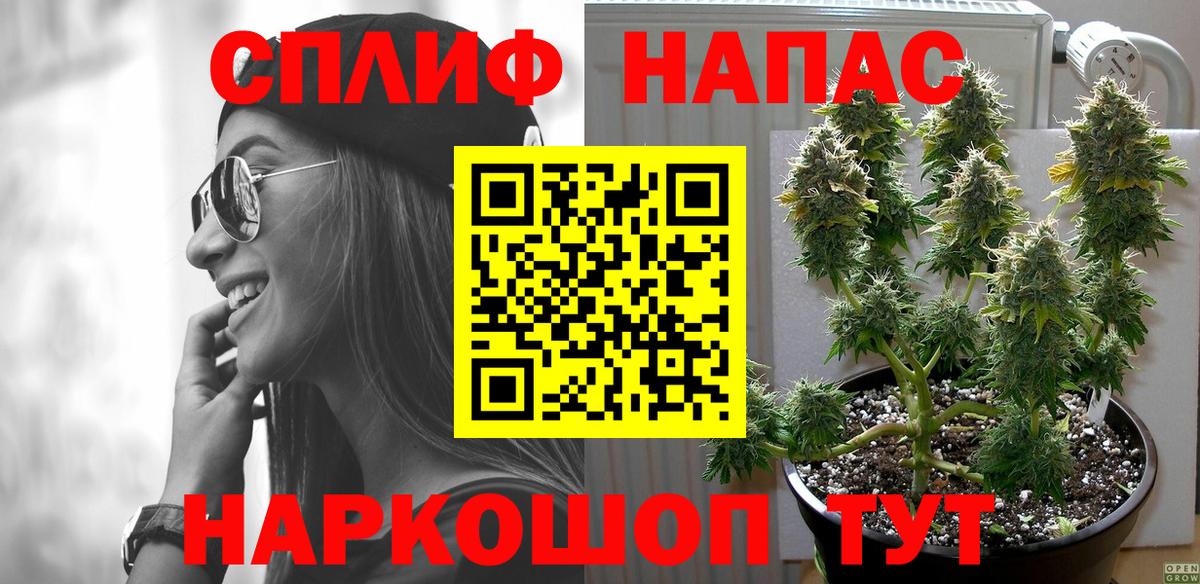Бошки Шишки конопля Выборг